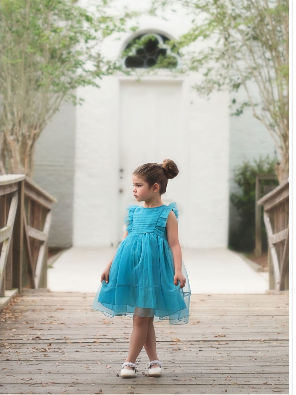 Trish Scully Organza Pleated Dress